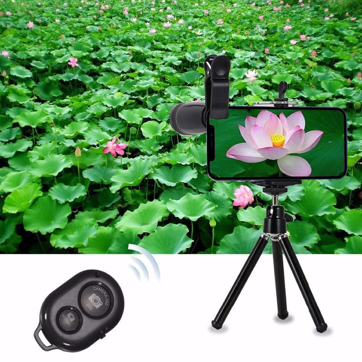 Phone on a mini tripod with telephoto lens shooting a lotus pond
