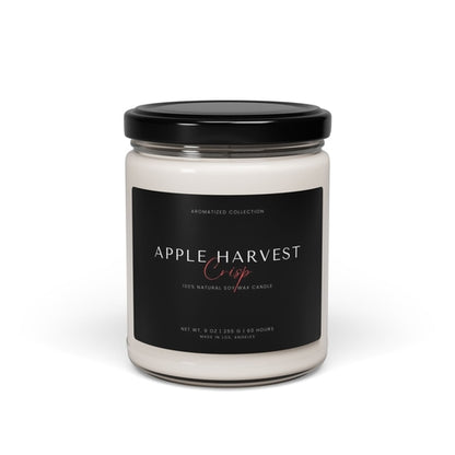 Apple Harvest Crisp soy candle with black lid on white