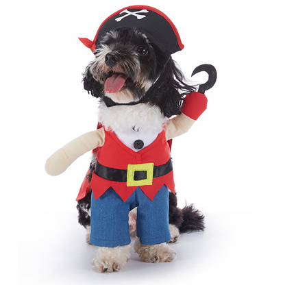 Dog wearing a red pirate Halloween costume with skull hat and hook hand
