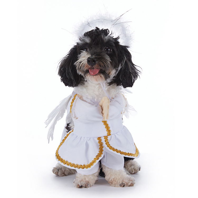 Dog wearing a white angel Halloween costume with halo and wings