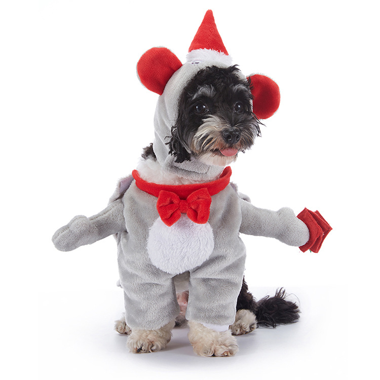 Dog wearing a grey bear Halloween costume with red bow tie and hat