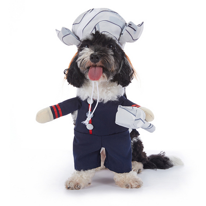 Dog wearing a purplish blue Thor superhero Halloween costume with winged helmet and hammer