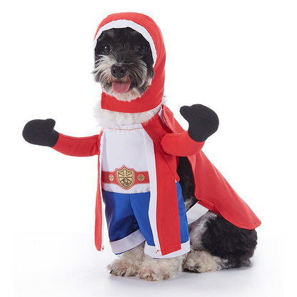Dog wearing a red boxer Halloween costume with hooded robe and boxing gloves