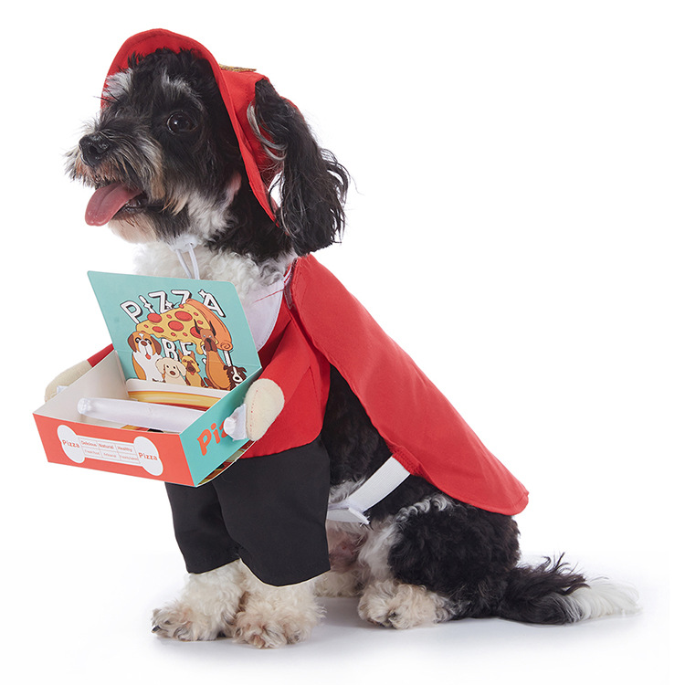 Dog wearing a red pizza delivery Halloween costume holding a pizza box