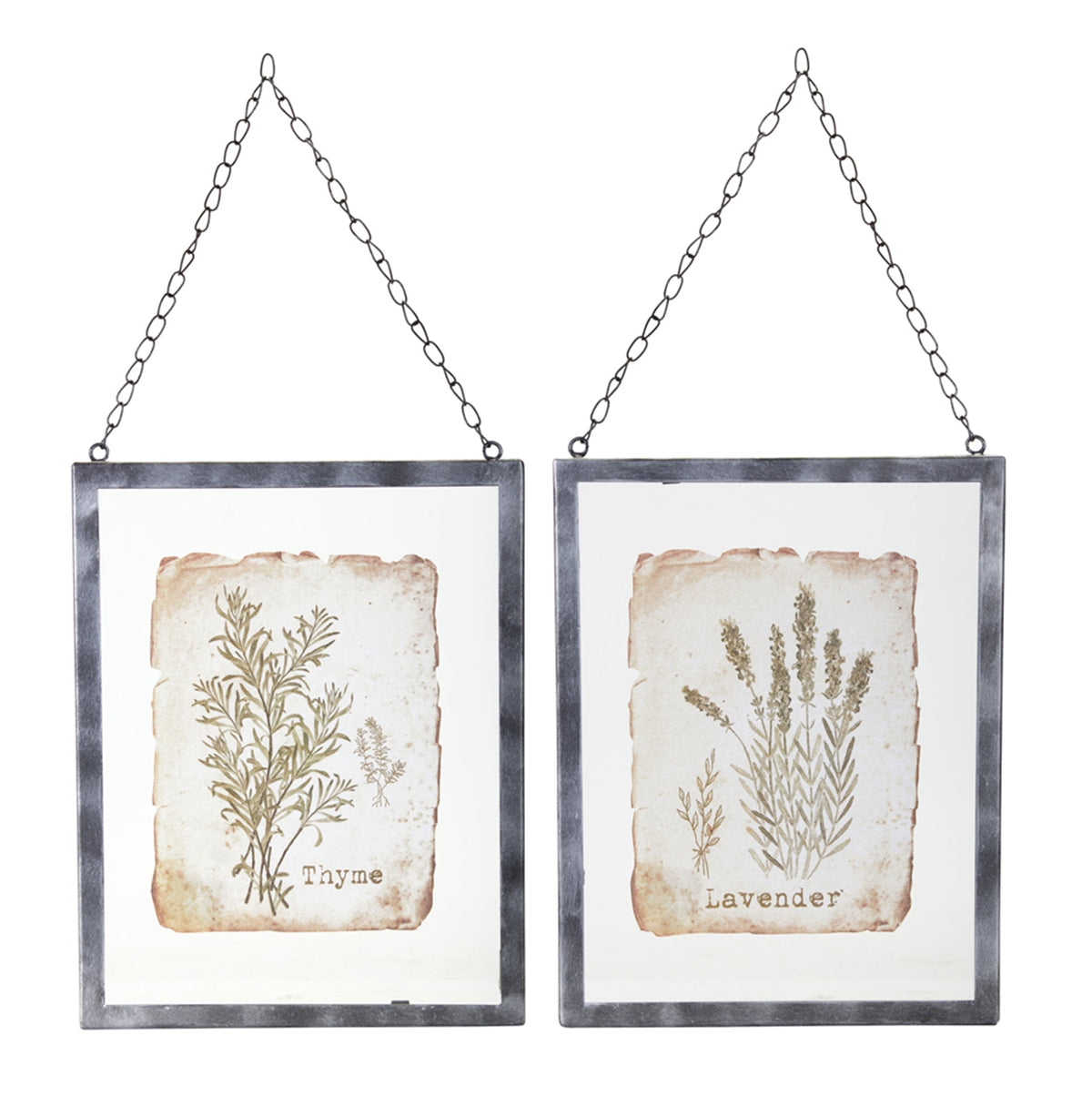Set of 2 galvanized metal and glass hanging frames with Thyme and Lavender botanical prints on a white background
